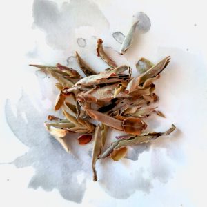 Ya Bao Biała Herbata